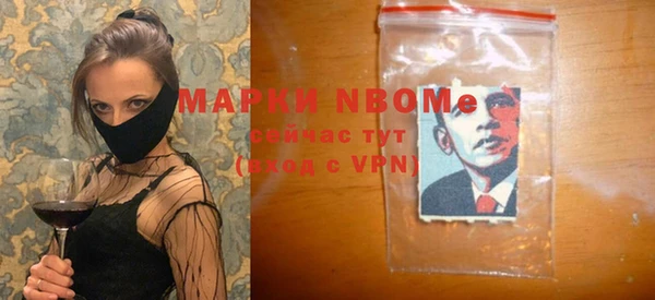 индика Богородицк