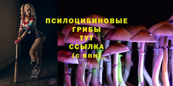 COCAINE Богородск