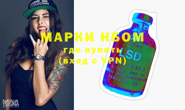 индика Богородицк