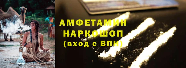 индика Богородицк