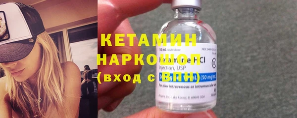 индика Богородицк