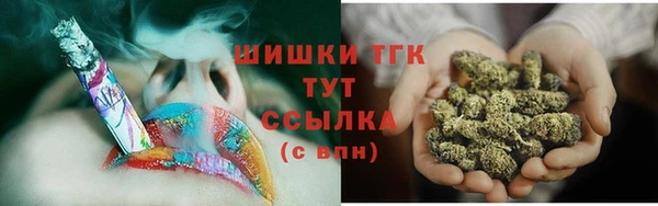 индика Богородицк