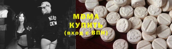 индика Богородицк