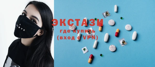 индика Богородицк