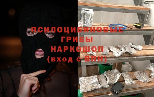 индика Богородицк