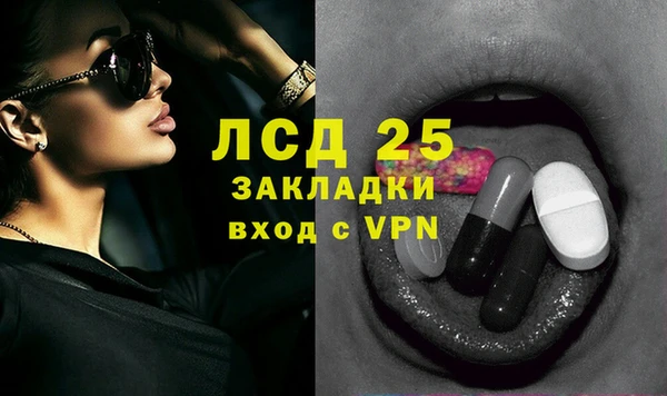индика Богородицк