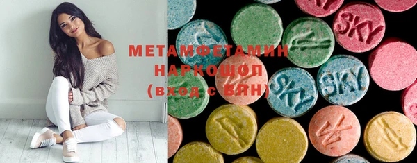 индика Богородицк