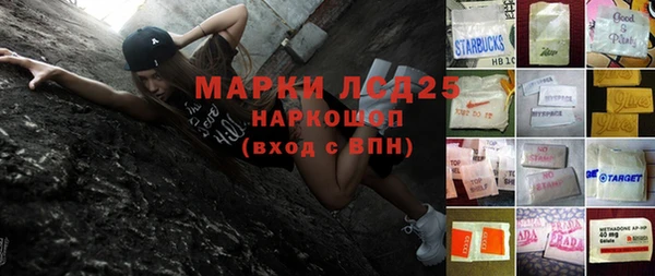 индика Богородицк
