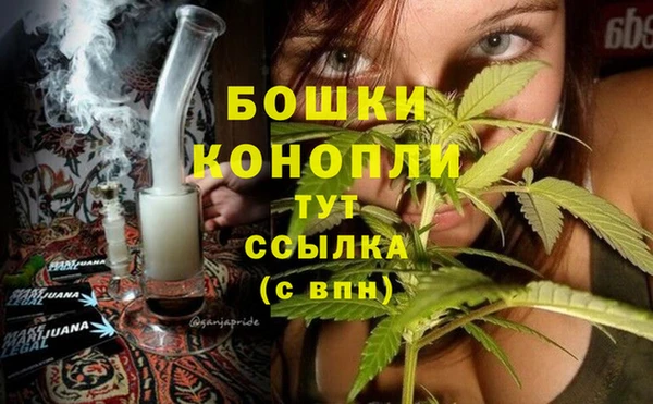 индика Богородицк